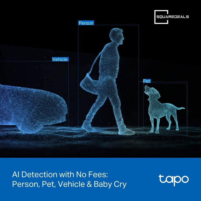 TP Link Tapo C246D