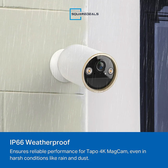 TP Link Tapo C460
